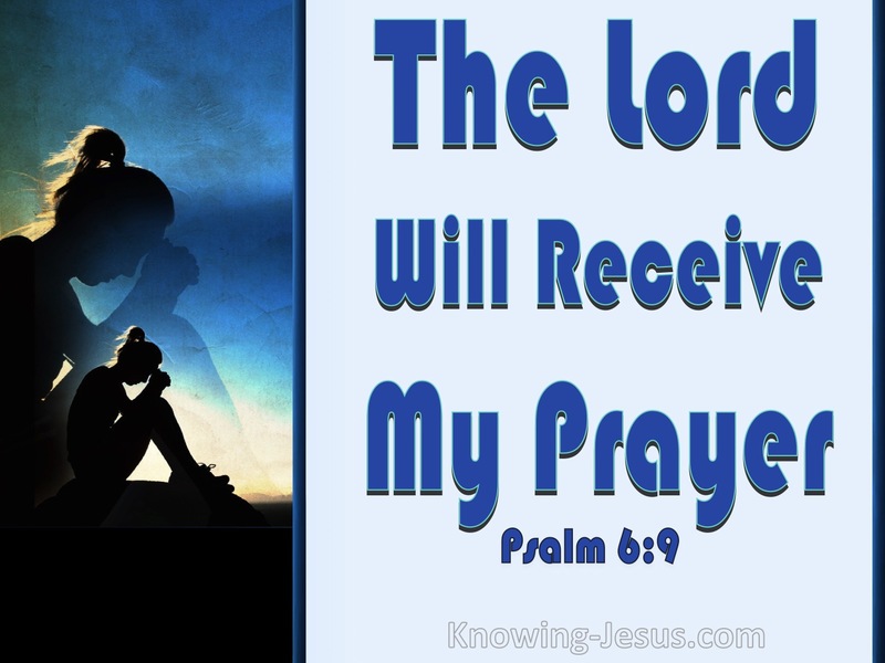 Psalm 6:9 The Lord Has Heard My Supplication (blue)